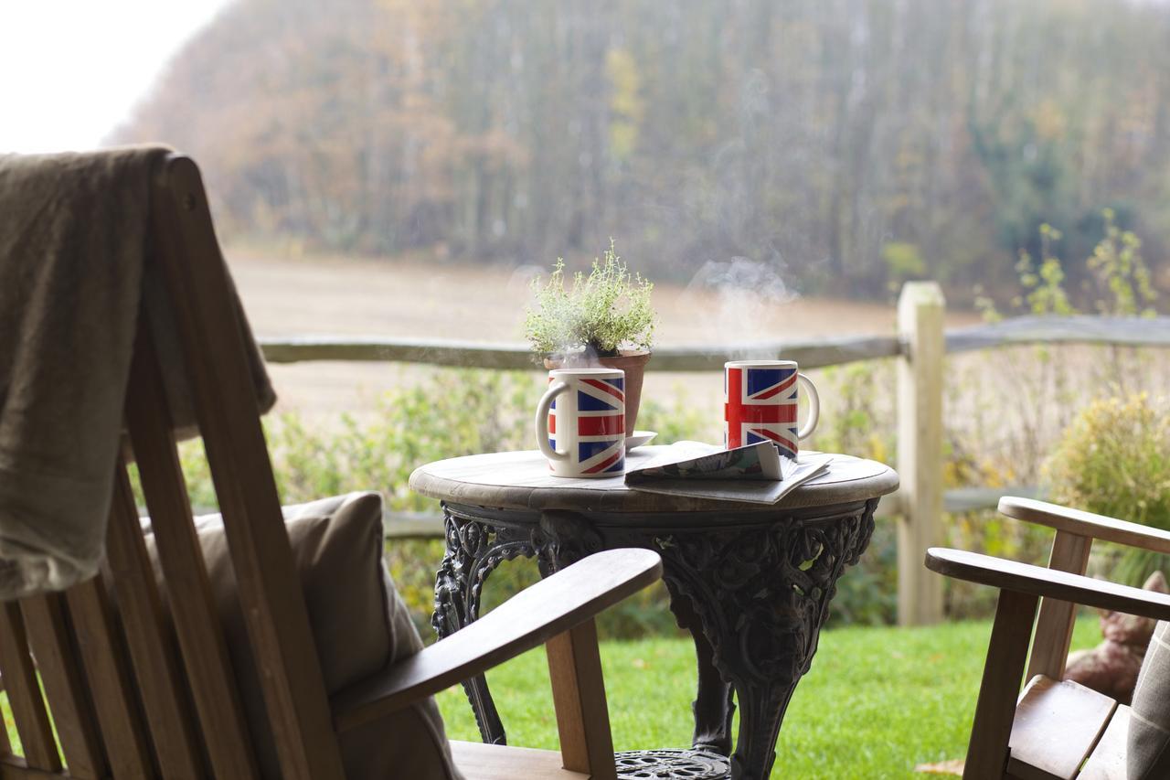 The Welldiggers Arms Bed & Breakfast Петуърт Екстериор снимка